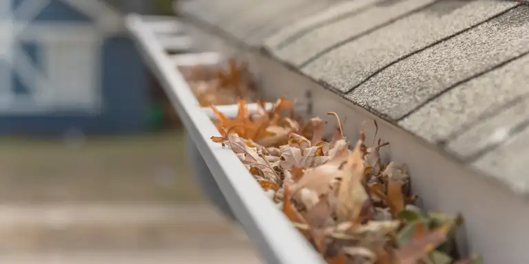 Leaf Guard project in Collingwood, ON